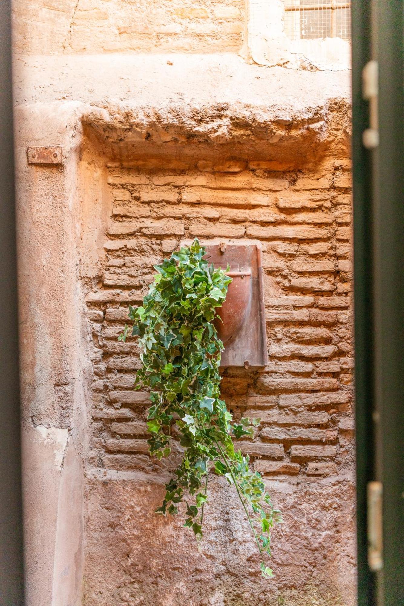 Loft Via Della Scala With Terrace Rom